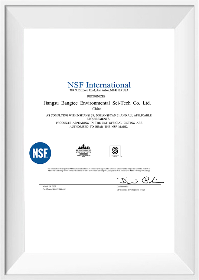 NSF Internationaal