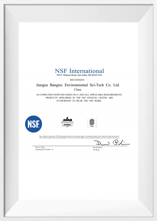 NSF Internationaal